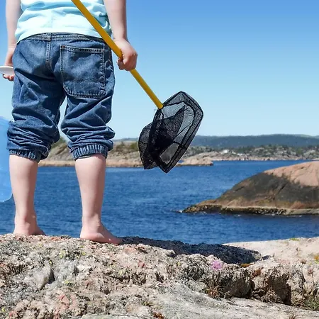 Stunning In With Wifi Sogne